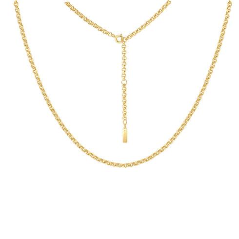 Gold Classic Rolo Chain Necklace
