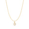 Gold Letter D Initial Necklace