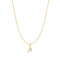 Gold Letter P Initial Necklace