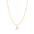 Gold Letter P Initial Necklace