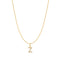 Gold Letter Z Initial Necklace